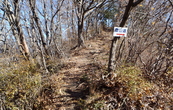 �c��q����