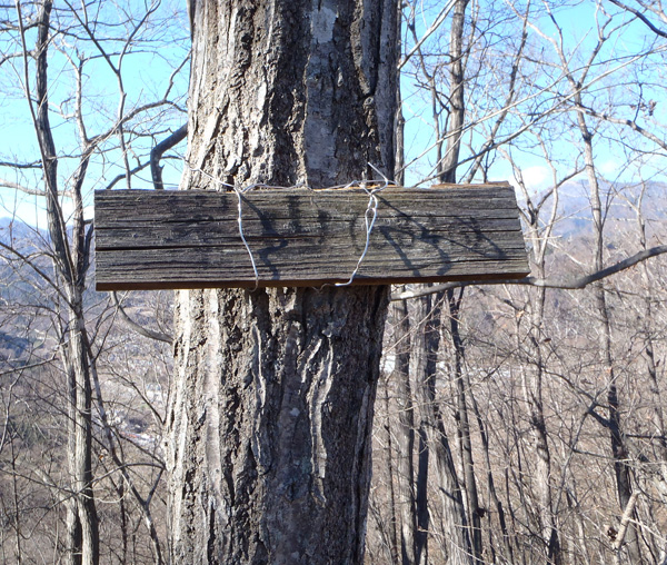 ���R����