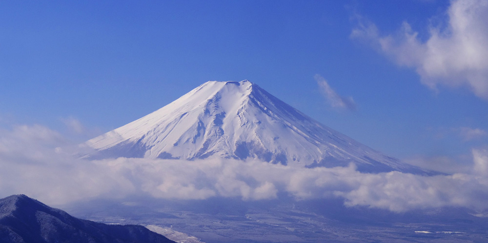 ����R�R������̕x�m�R