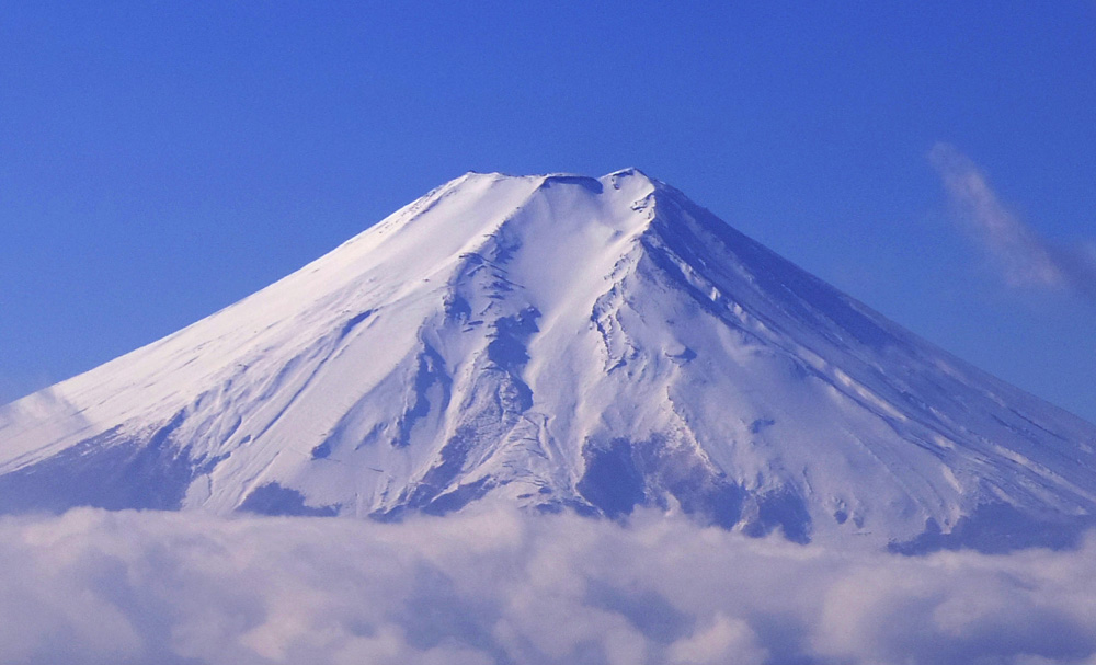 ����R�R������̕x�m�R�B�_�̏�ɕ����ԕx�m�R���B