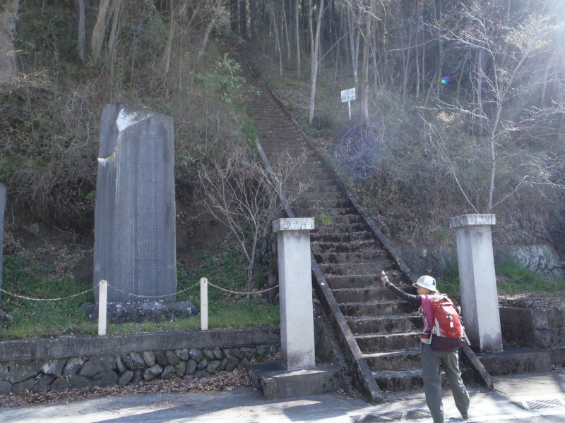 �哴�R�o���