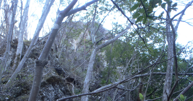 �哴��炵���R��