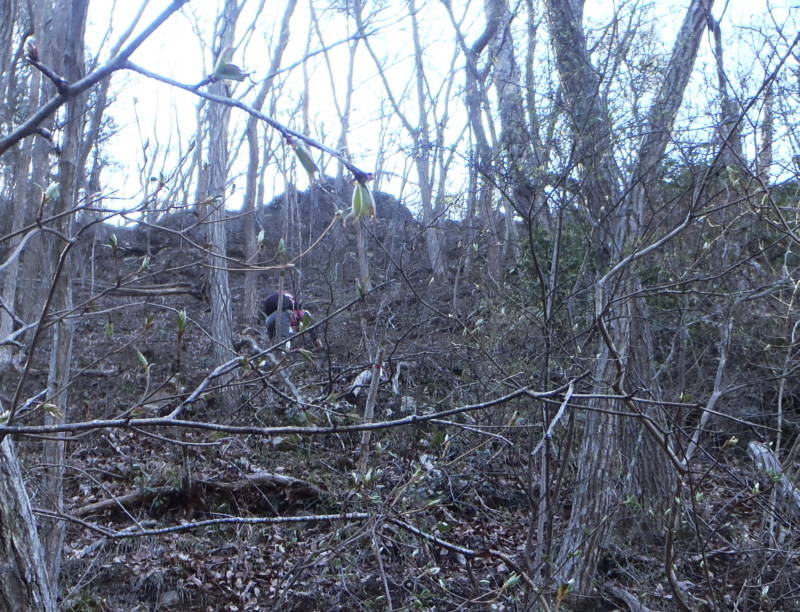 �R���Ɍ����ēo��܂�