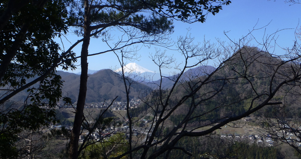 �o��r���ŕx�m�R