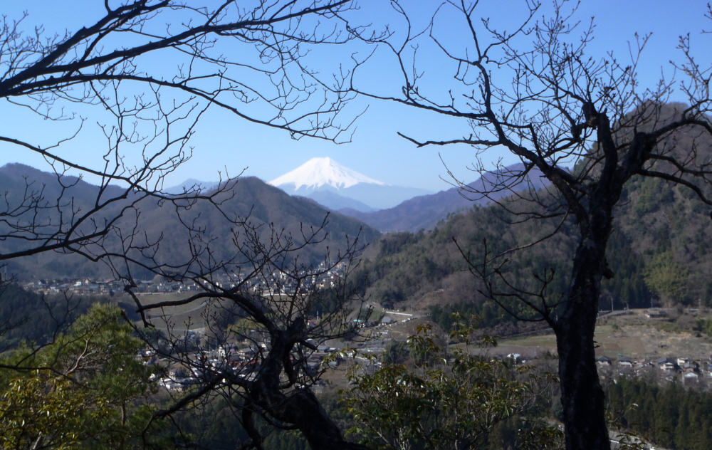 �}�̊Ԃ��璭�߂��̂���x�m�R