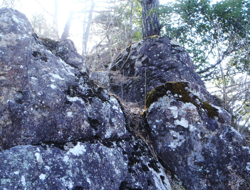 �哴��̎R���߂��̊��