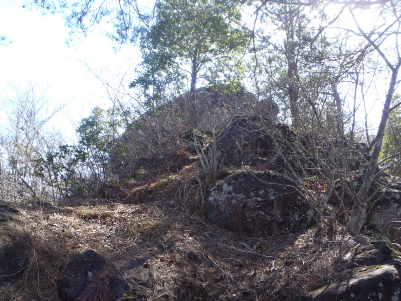 �哴��R����