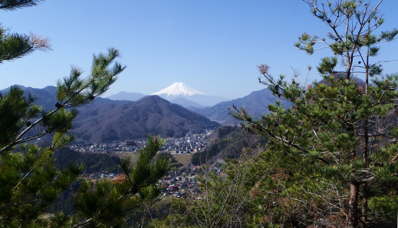 �哴��i509m�j����̕x�m�R