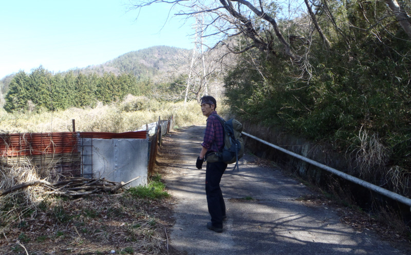 ���d���S��JR66