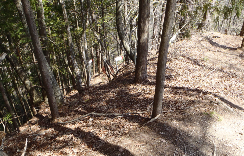 �S���򐅏�֌����ĉ���܂�