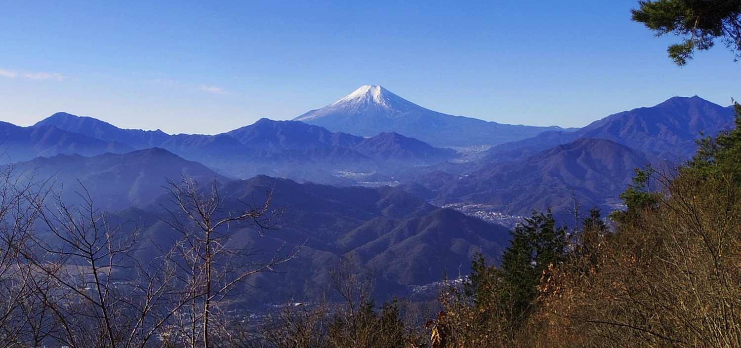 �S���R�R������̕x�m�R