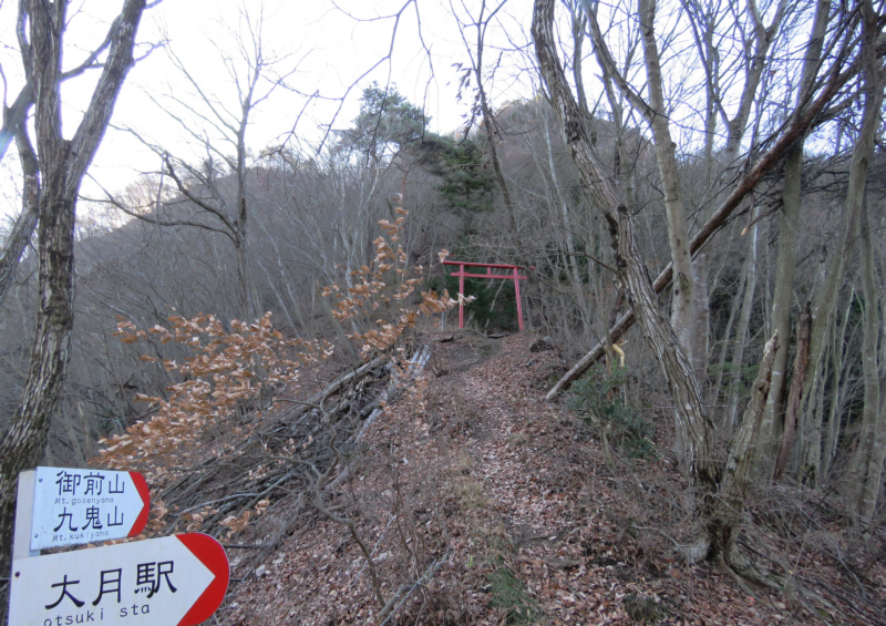 �l���ڒ���