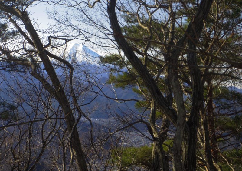 ���؂̊Ԃ���x�m�R