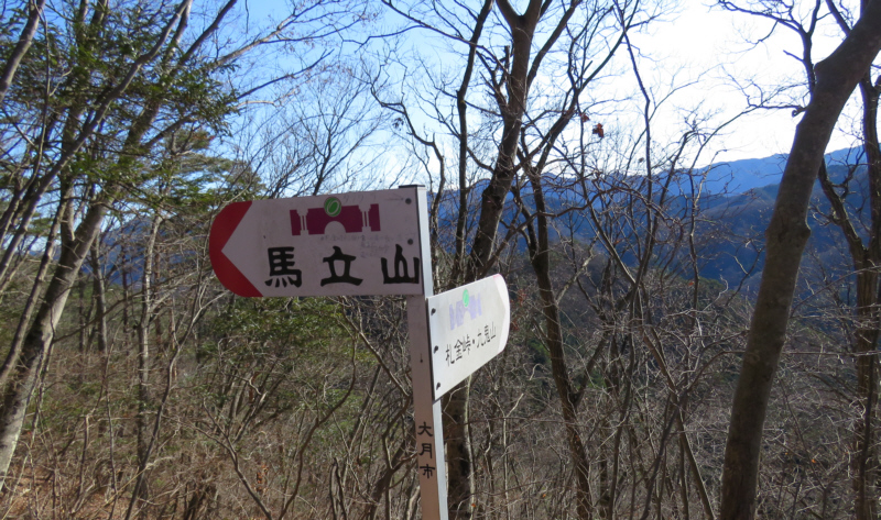 �c��q�w�ւ̕���