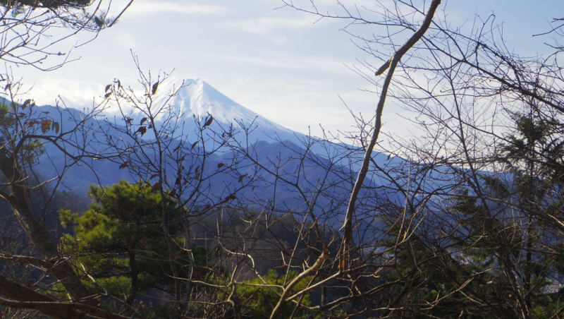 ���؂̊Ԃ���x�m�R�B�n���R����D�����R�[�X����܂ł̊ԁB