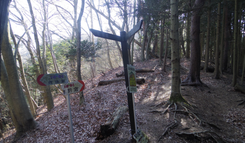 �D�����R�[�X����