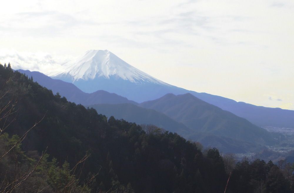 �D��������-��S�R�̊Ԃɂ���x�m�R�W�]�n����̕x�m�R