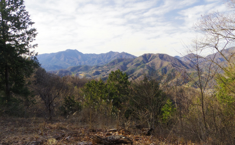 ����̋x�ꂩ��̒���