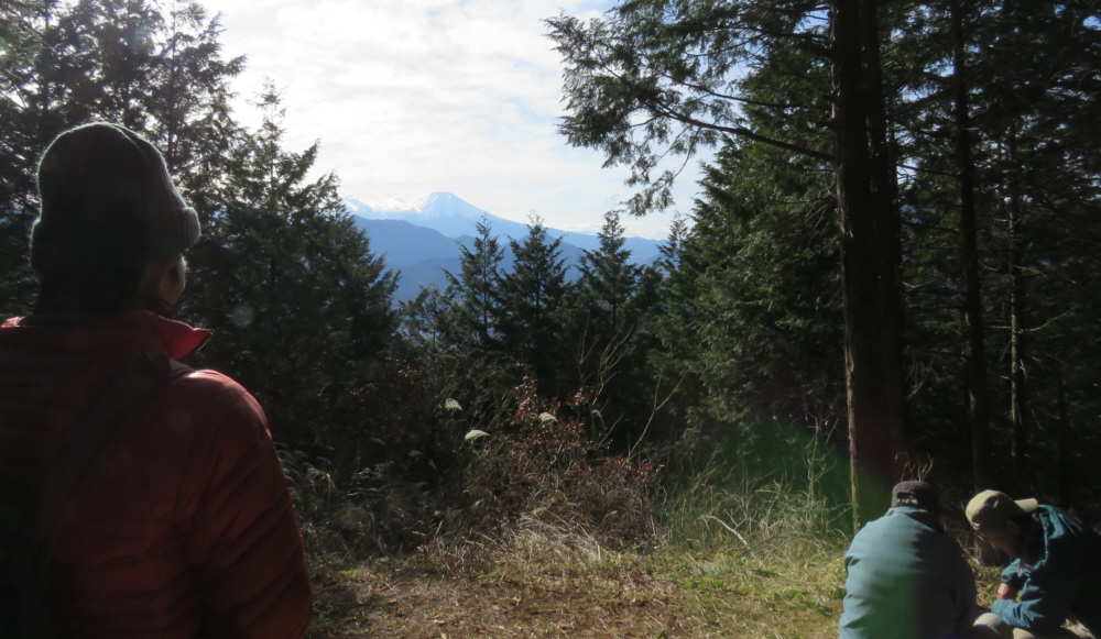 ��S�R�̕x�m����