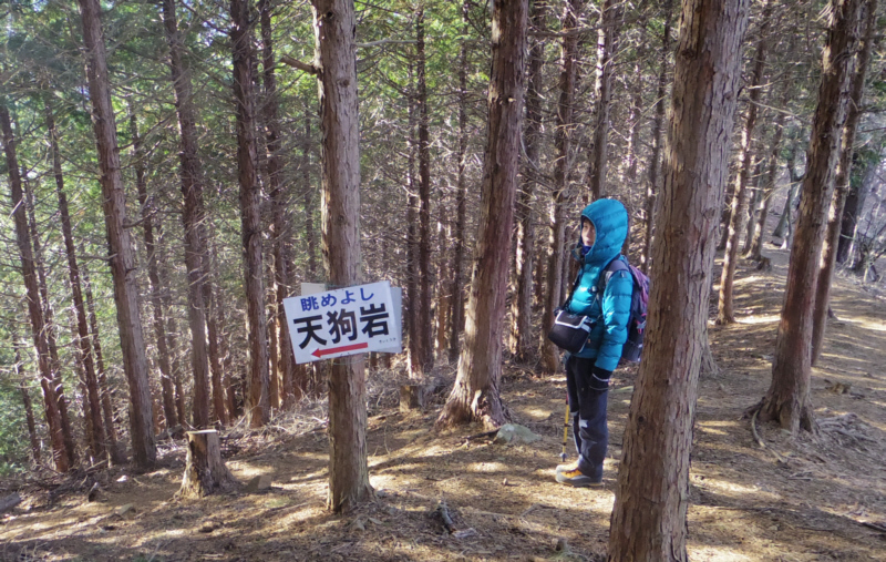 �V���s���̊Ŕ�