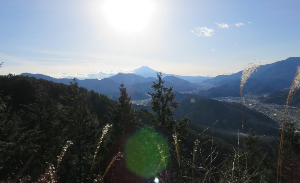 �V���̏ォ��̕x�m�R