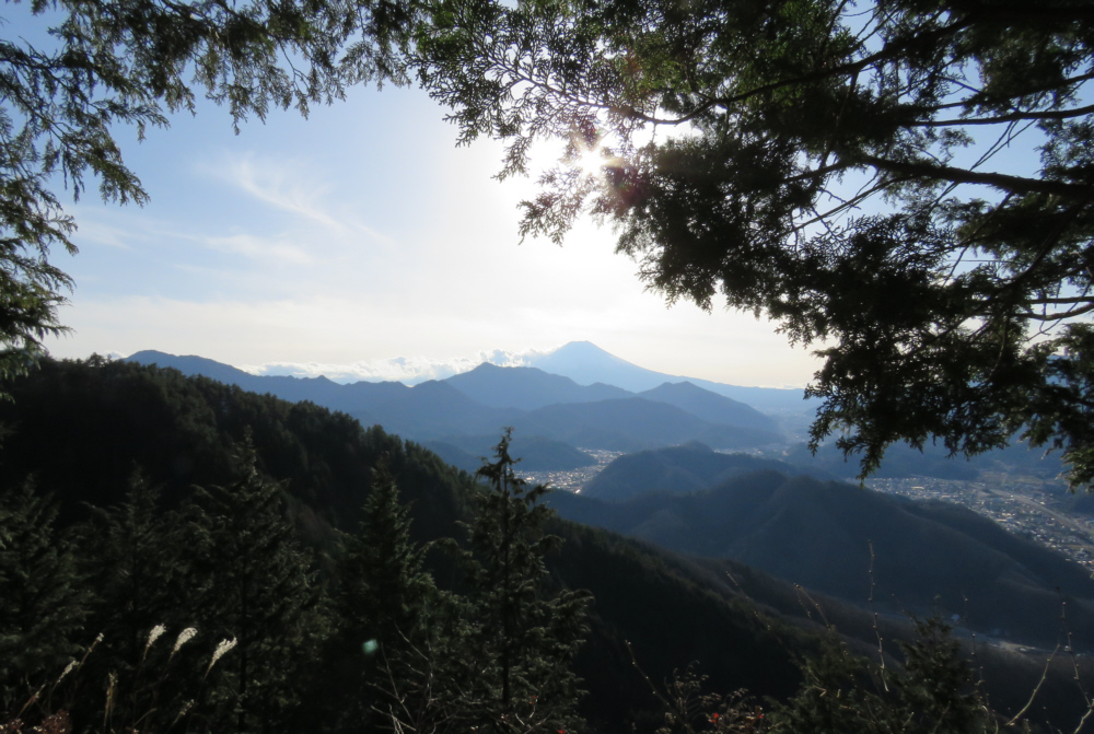 �V��₩��̕x�m�R�B