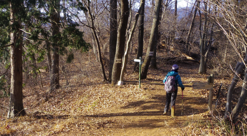 �r�m���E�����_�ЃR�[�X����