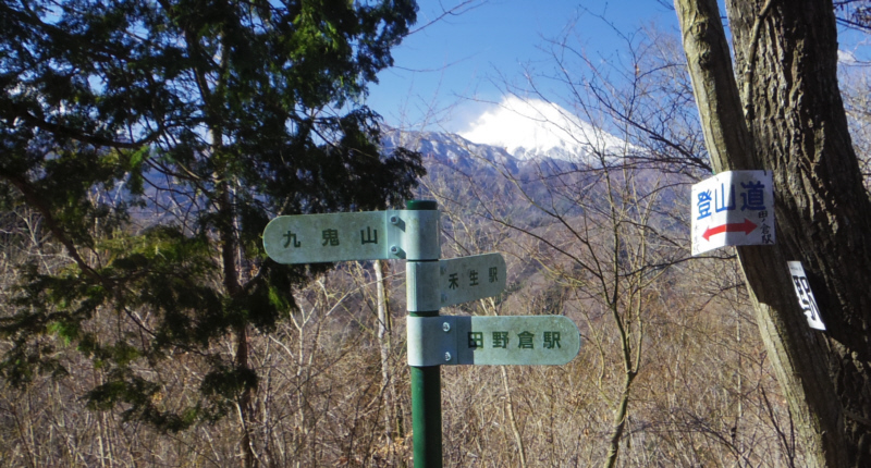 �p���w�ւ̕���