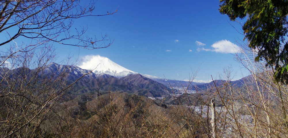 �o�R���̎��؂̊Ԃ���̕x�m�R