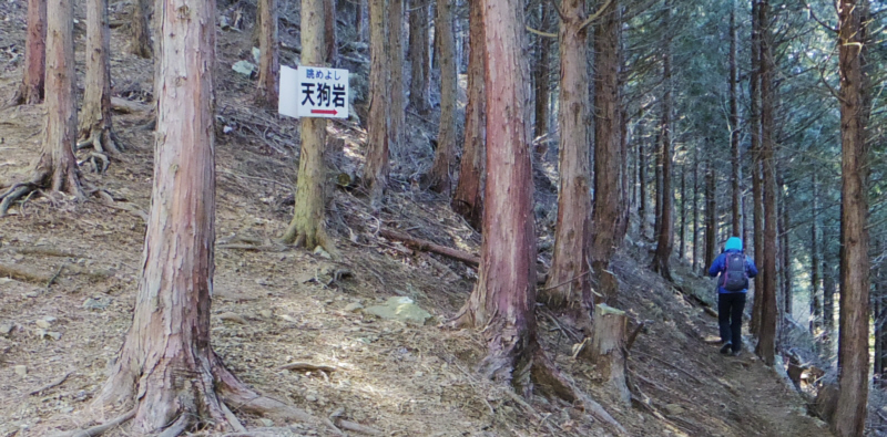 �u���߂悵�@�V���v�̕\����