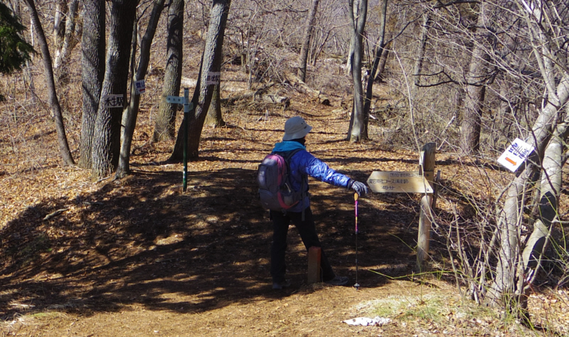 �r�̎R�E�����_�ЃR�[�X����