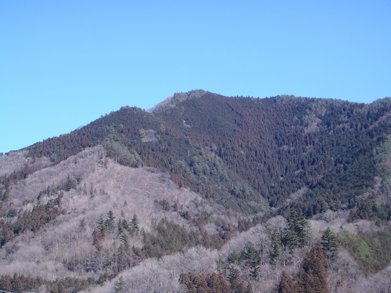 �����i�񂾏�����̋�S�R