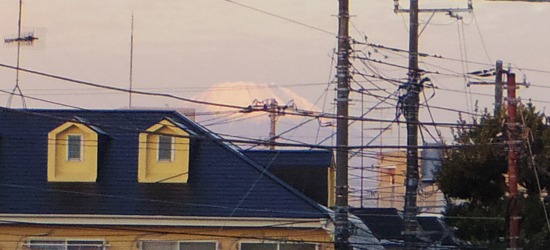 ���c�}�]�m��������w�̃z�[������̕x�m�R