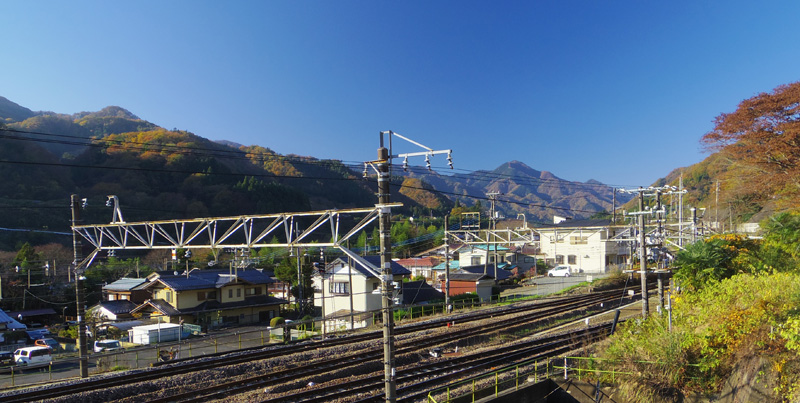 �����{���l���Éw���̃o�X�₩��