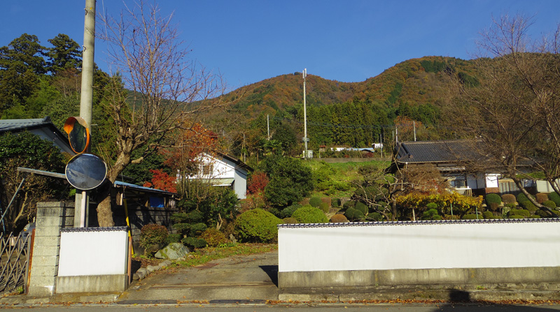 ���ڃo�X�₩��̒���