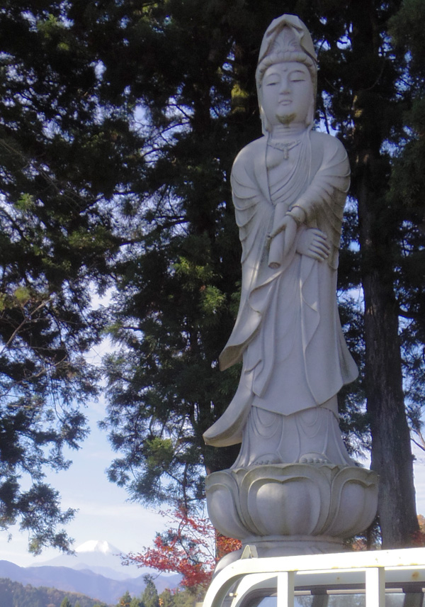 �匎����ω��ƕx�m�R