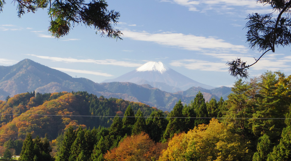 �匎����ω��̉�����x�m�R