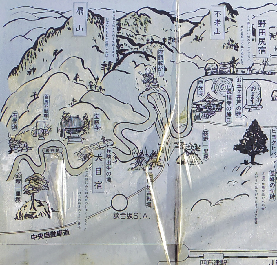 �b�B�X���j�Ոē��}