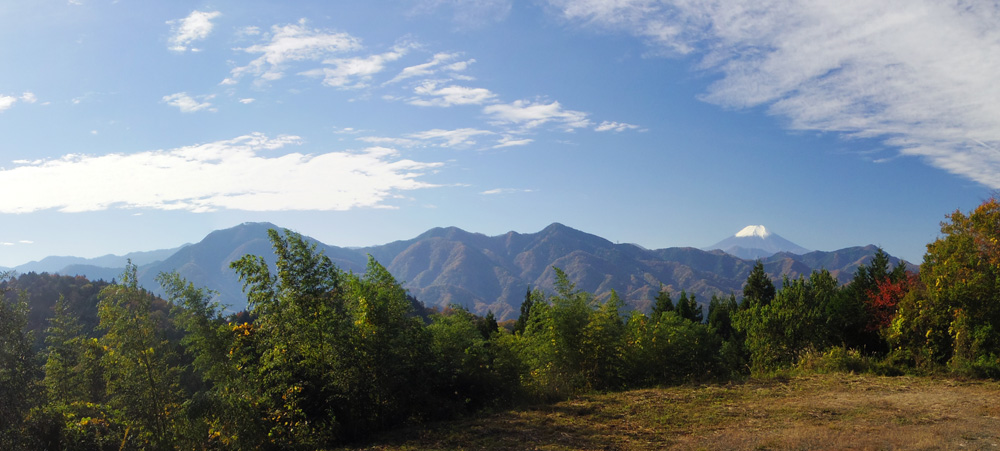 �b�B�X������̕x�m�R