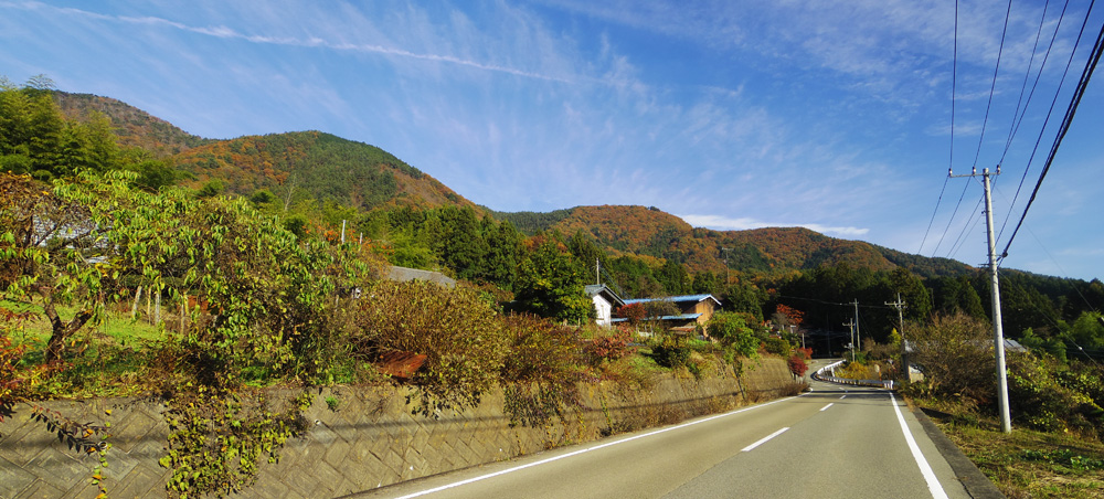 ��������߂�