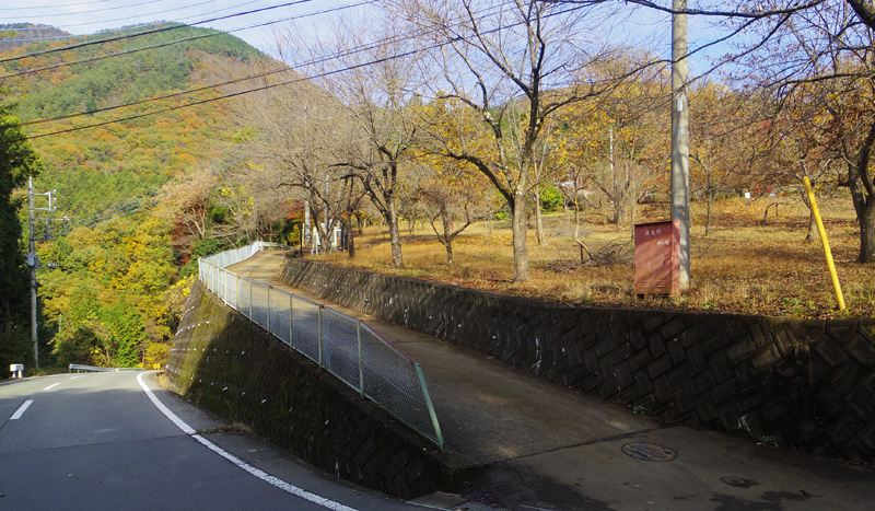 �N���̏h�̊Ŕ��������������̓�