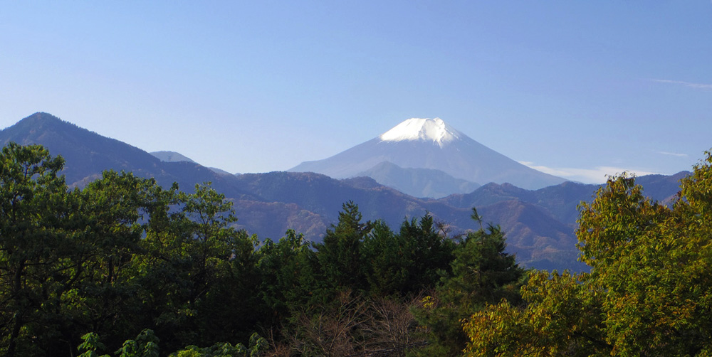 �b�B�X���N������t�߂���̕x�m�R