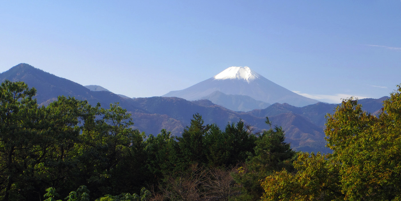 �b�B�X���u�N������v�t�߂���̕x�m�R