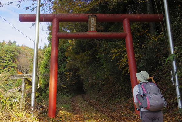 �u���n�s�����v�̒���