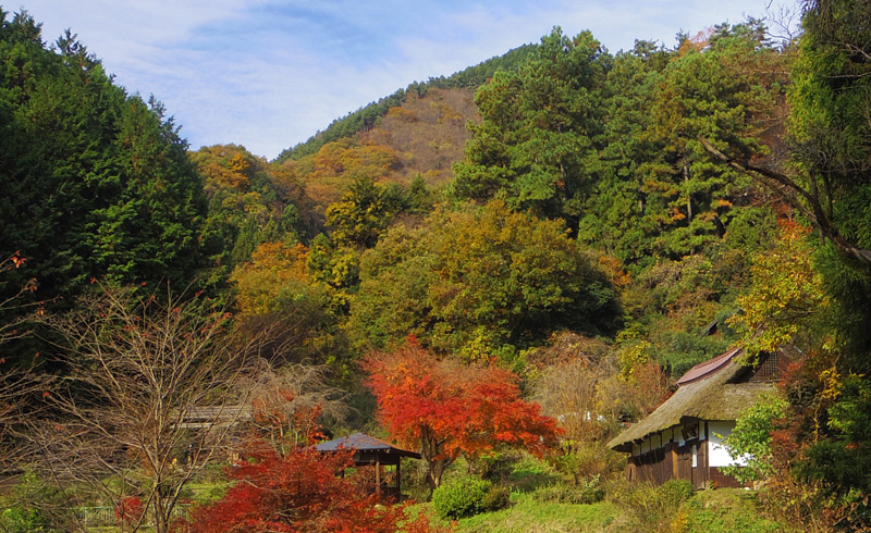 �����̖���