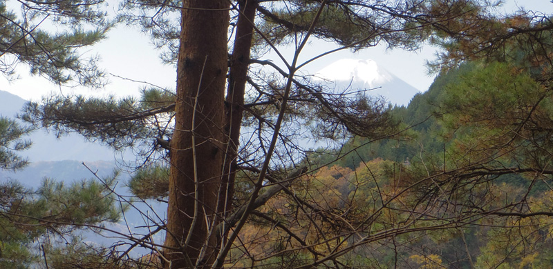 �o��r���ŕx�m�R