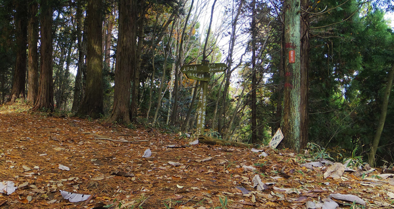 �����䕪��