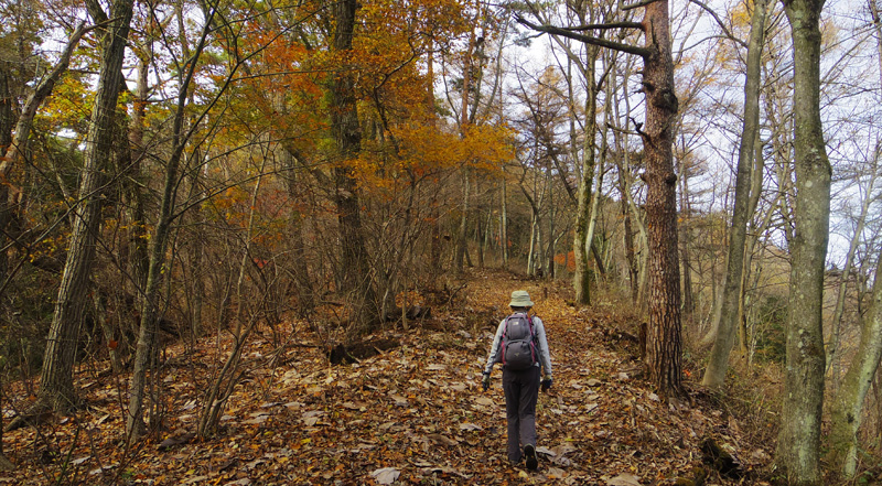 �ӏH�̕��͋C