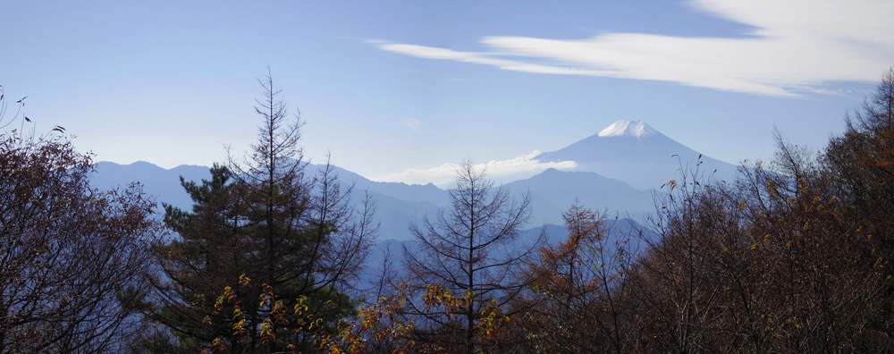 ��R�R���L�ꂩ��̕x�m�R