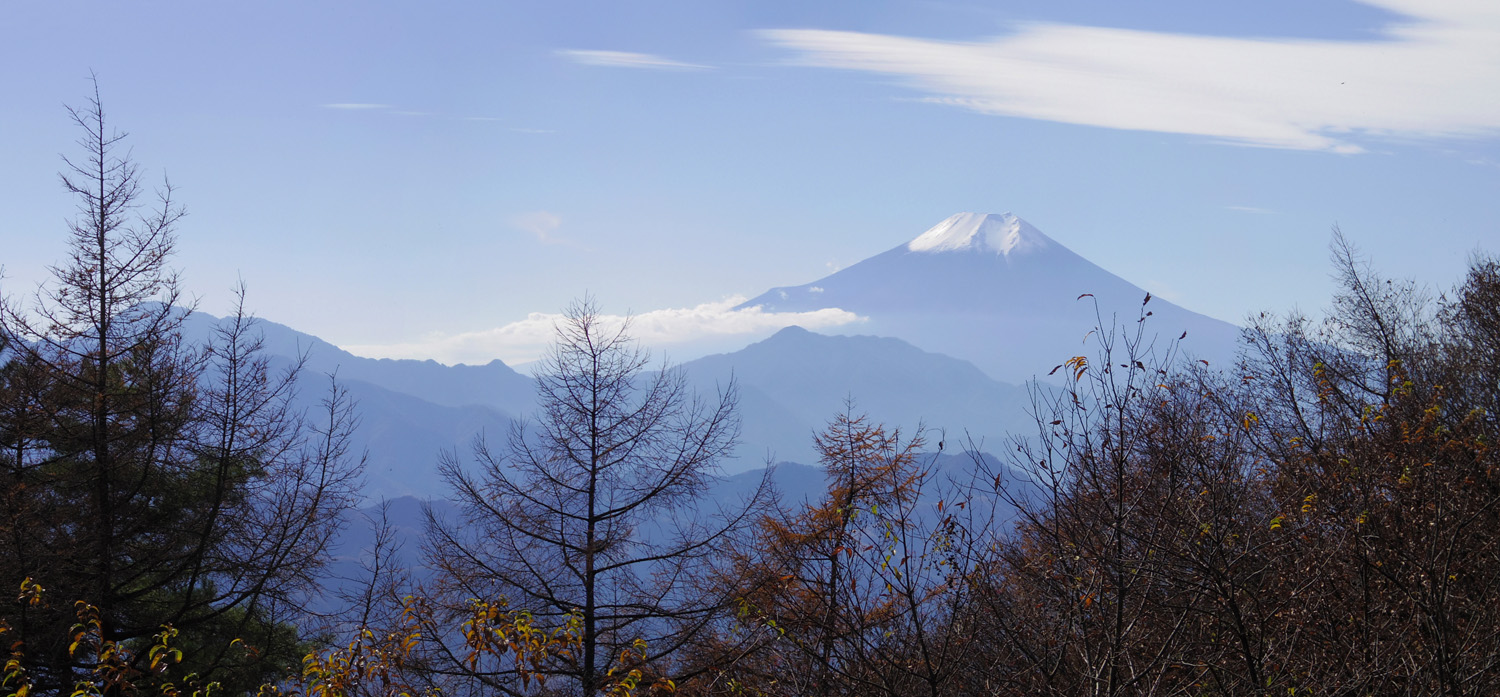 ��R�R���L�ꂩ��̕x�m�R